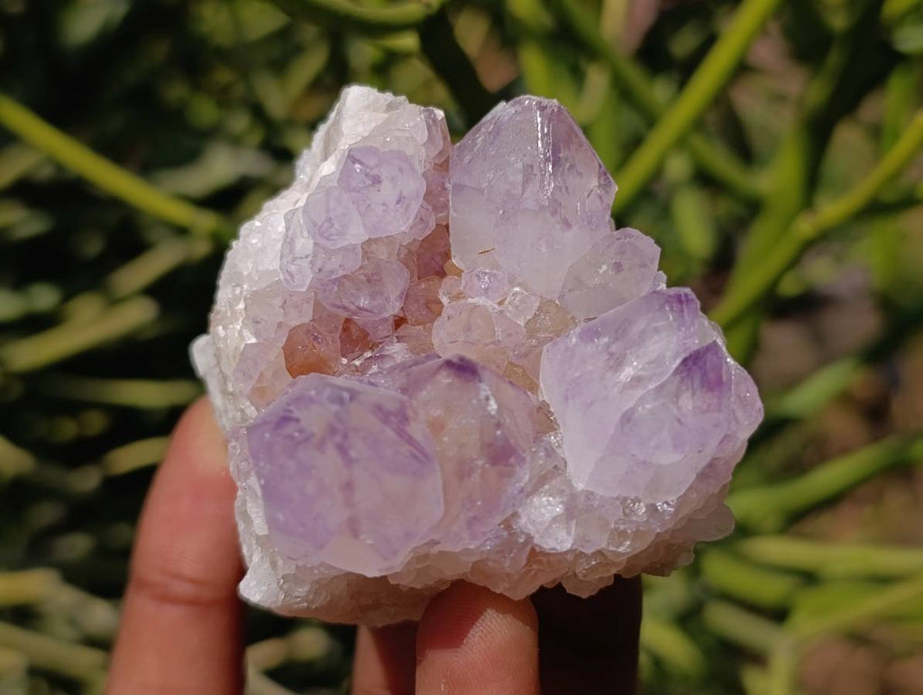 Natural Amethyst Spirit Quartz Clusters x 6 From Boekenhouthoek, South Africa - Toprock Gemstones and Minerals 