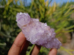 Natural Amethyst Spirit Quartz Clusters x 6 From Boekenhouthoek, South Africa - Toprock Gemstones and Minerals 