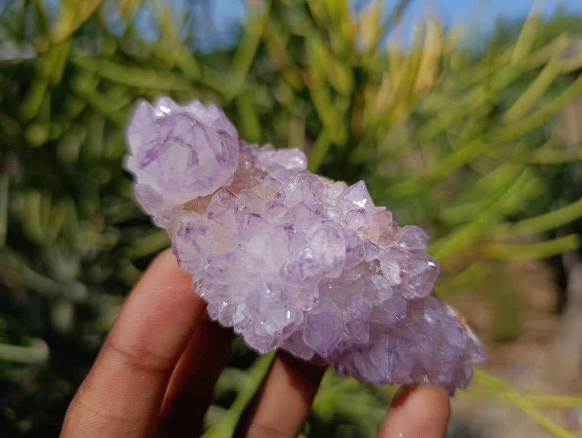 Natural Amethyst Spirit Quartz Clusters x 6 From Boekenhouthoek, South Africa - Toprock Gemstones and Minerals 