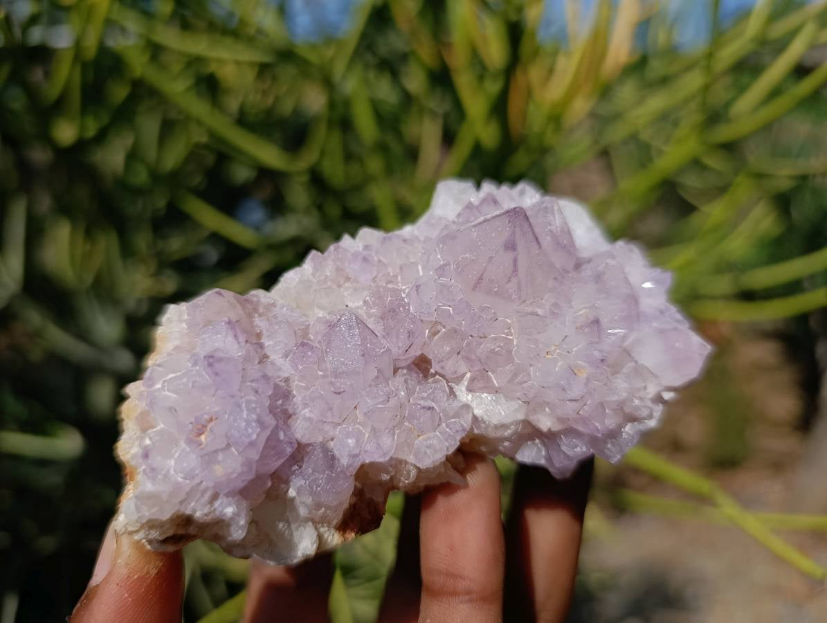 Natural Amethyst Spirit Quartz Clusters x 6 From Boekenhouthoek, South Africa - Toprock Gemstones and Minerals 
