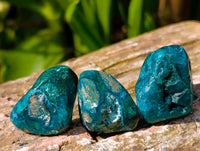 Polished Dioptase Free Forms x 20 From Likasi, Congo
