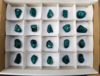 Polished Dioptase Free Forms x 20 From Likasi, Congo