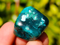 Polished Dioptase Free Forms x 20 From Likasi, Congo
