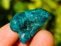 Polished Dioptase Free Forms x 20 From Likasi, Congo
