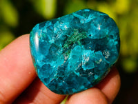 Polished Dioptase Free Forms x 20 From Likasi, Congo