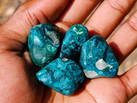Polished Dioptase Free Forms x 20 From Likasi, Congo