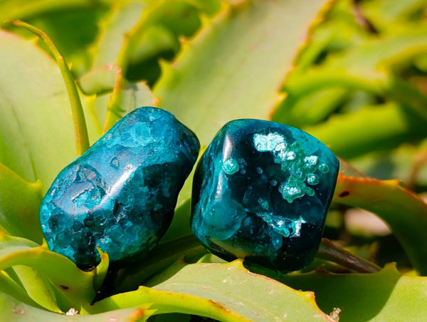 Polished Dioptase Free Forms x 20 From Likasi, Congo