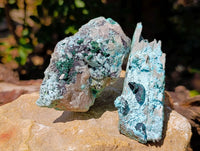 Natural Drusy Coated Malacolla On Dolomite Specimens x 6 From Congo