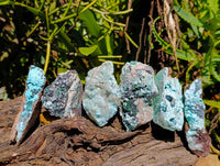 Natural Drusy Coated Malacolla On Dolomite Specimens x 6 From Congo