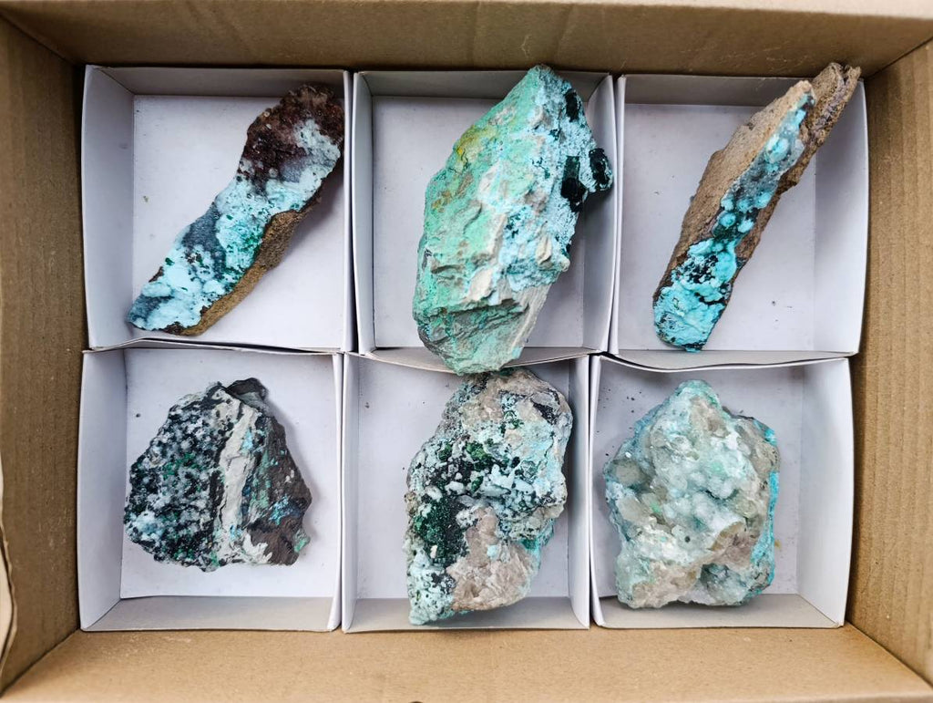 Natural Drusy Coated Malacolla On Dolomite Specimens x 6 From Congo - Toprock Gemstones and Minerals 