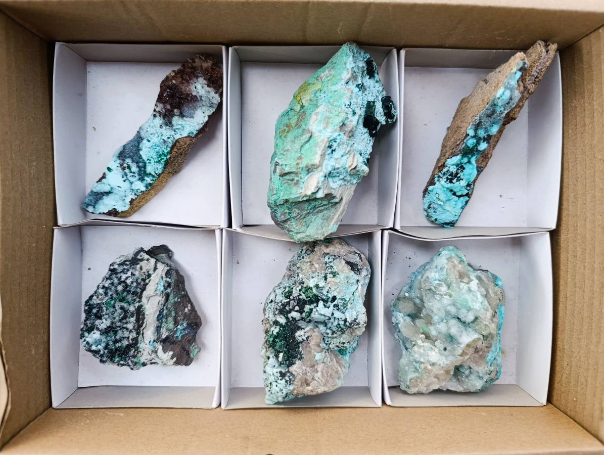 Natural Drusy Coated Malacolla On Dolomite Specimens x 6 From Congo - Toprock Gemstones and Minerals 