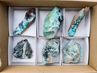 Natural Drusy Coated Malacolla On Dolomite Specimens x 6 From Congo