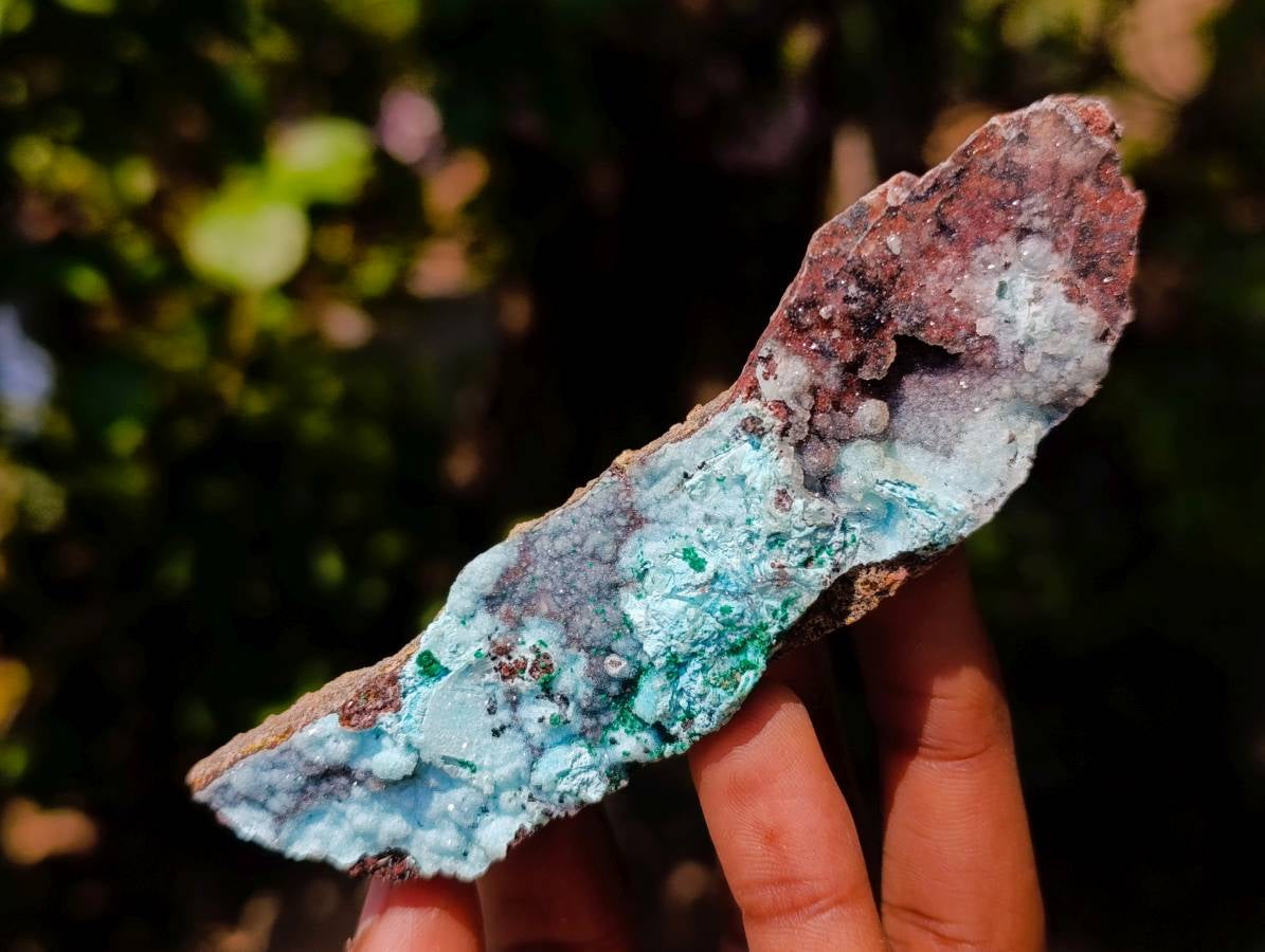 Natural Drusy Coated Malacolla On Dolomite Specimens x 6 From Congo - Toprock Gemstones and Minerals 