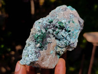 Natural Drusy Coated Malacolla On Dolomite Specimens x 6 From Congo