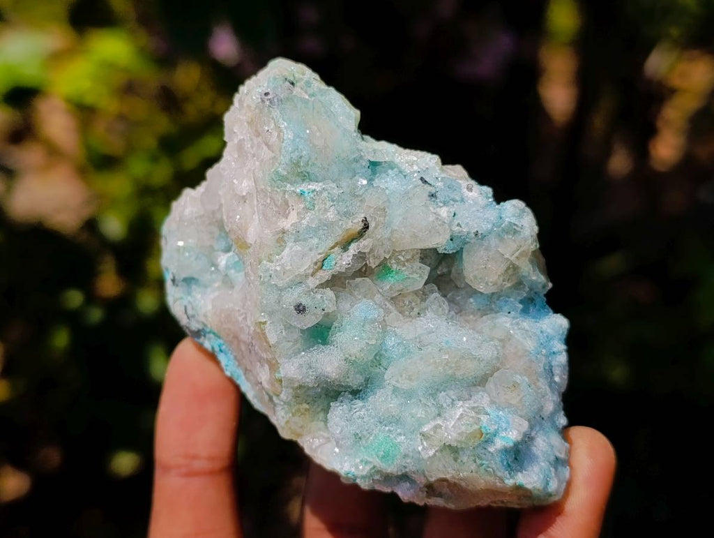 Natural Drusy Coated Malacolla On Dolomite Specimens x 6 From Congo - Toprock Gemstones and Minerals 