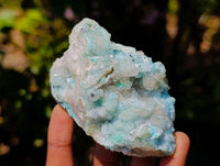 Natural Drusy Coated Malacolla On Dolomite Specimens x 6 From Congo