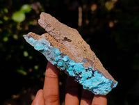 Natural Drusy Coated Malacolla On Dolomite Specimens x 6 From Congo