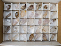 Natural Mix of Smokey, Clear and Amethyst Quartz Crystals x 35 From Brandberg, Namibia