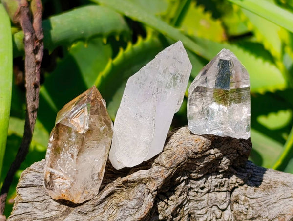Natural Mix of Smokey, Clear and Amethyst Quartz Crystals x 35 From Brandberg, Namibia