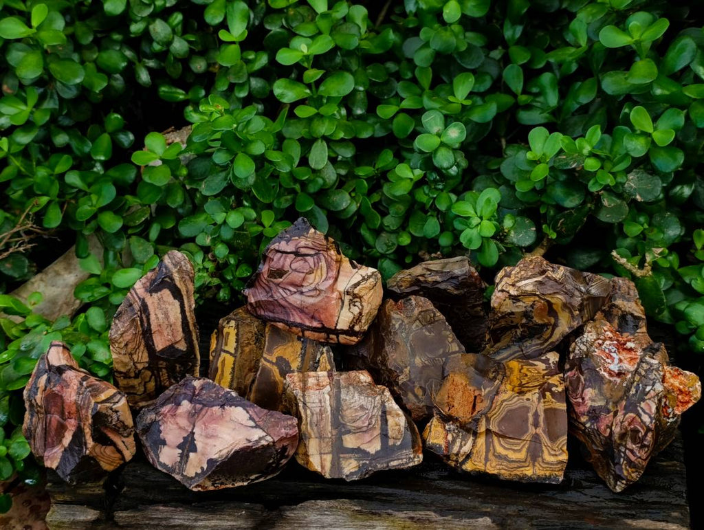 Natural Nguni Jasper Cobbed Specimens x 12 From N.Cape,  South Africa - Toprock Gemstones and Minerals 