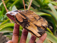 Natural Nguni Jasper Cobbed Specimens x 12 From N.Cape,  South Africa