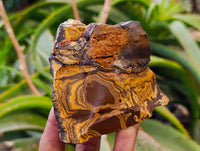 Natural Nguni Jasper Cobbed Specimens x 12 From N.Cape,  South Africa