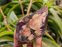 Natural Nguni Jasper Cobbed Specimens x 12 From N.Cape,  South Africa