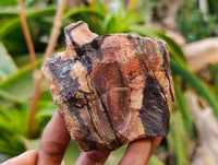 Natural Nguni Jasper Cobbed Specimens x 12 From N.Cape,  South Africa