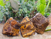 Natural Nguni Jasper Cobbed Specimens x 12 From N.Cape,  South Africa