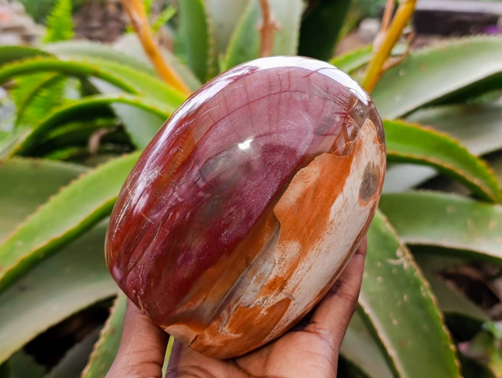 Polished Red Podocarpus Petrified Wood Standing Free Forms x 2 From Mahajanga, Madagascar - Toprock Gemstones and Minerals 
