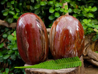 Polished Red Podocarpus Petrified Wood Standing Free Forms x 2 From Mahajanga, Madagascar