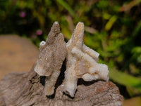 Natural Drusy Quartz Coated Calcite Pseudomorph Specimens x 35 From Alberts Mountain, Lesotho