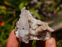 Natural Drusy Quartz Coated Calcite Pseudomorph Specimens x 35 From Alberts Mountain, Lesotho