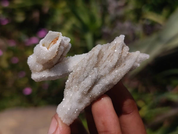 Natural Drusy Quartz Coated Calcite Pseudomorph Specimens x 35 From Alberts Mountain, Lesotho