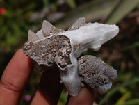 Natural Drusy Quartz Coated Calcite Pseudomorph Specimens x 35 From Alberts Mountain, Lesotho
