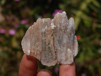 Natural Drusy Quartz Coated Calcite Pseudomorph Specimens x 35 From Alberts Mountain, Lesotho