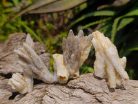 Natural Drusy Quartz Coated Calcite Pseudomorph Specimens x 35 From Alberts Mountain, Lesotho