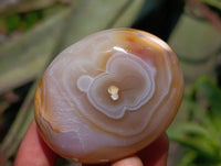 Polished Banded Agate Palm Stones x 12 From Madagascar