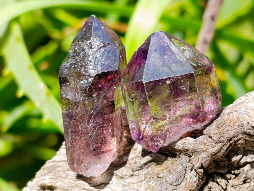 Natural Window Amethyst Crystals x 35 From Chiredzi, Zimbabwe - Toprock Gemstones and Minerals 