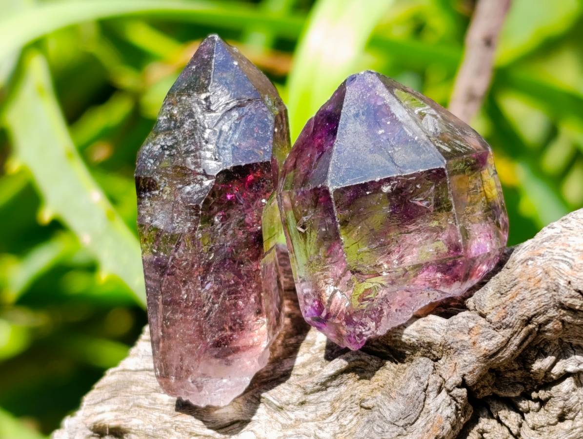 Natural Window Amethyst Crystals x 35 From Chiredzi, Zimbabwe - Toprock Gemstones and Minerals 