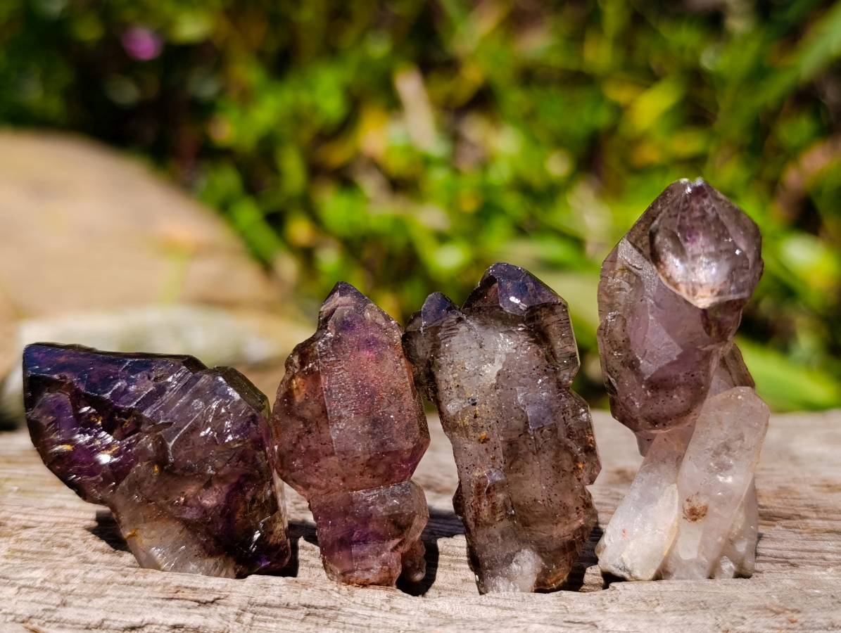 Natural Window Amethyst Crystals x 35 From Chiredzi, Zimbabwe - Toprock Gemstones and Minerals 