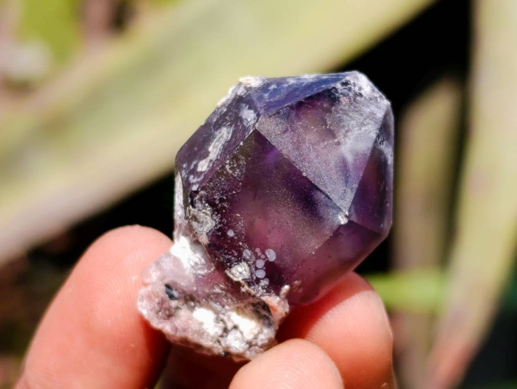 Natural Window Amethyst Crystals x 35 From Chiredzi, Zimbabwe - Toprock Gemstones and Minerals 