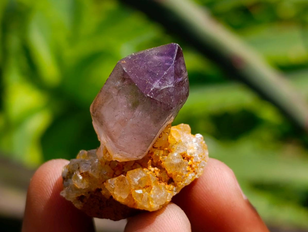 Natural Window Amethyst Crystals x 35 From Chiredzi, Zimbabwe - Toprock Gemstones and Minerals 
