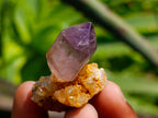 Natural Window Amethyst Crystals x 35 From Chiredzi, Zimbabwe - Toprock Gemstones and Minerals 