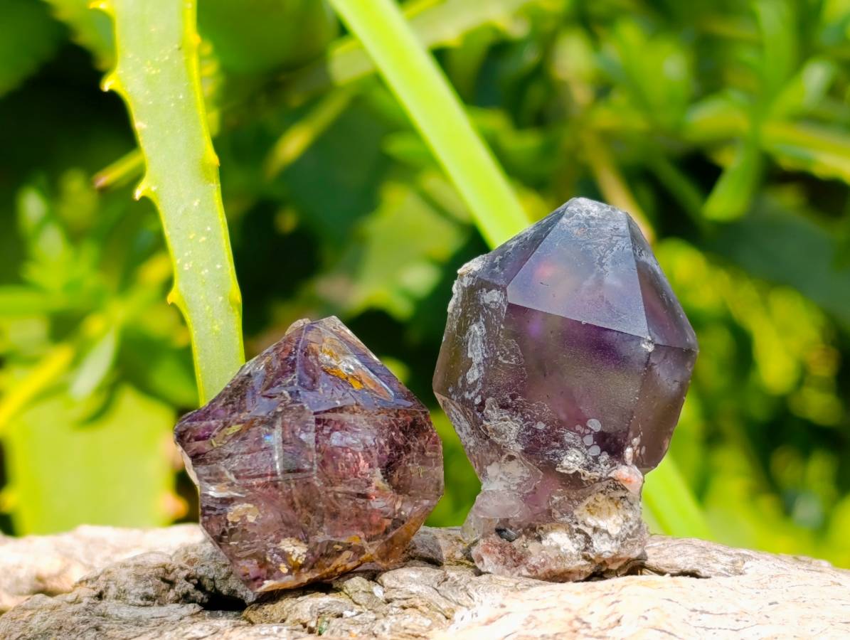 Natural Window Amethyst Crystals x 35 From Chiredzi, Zimbabwe - Toprock Gemstones and Minerals 