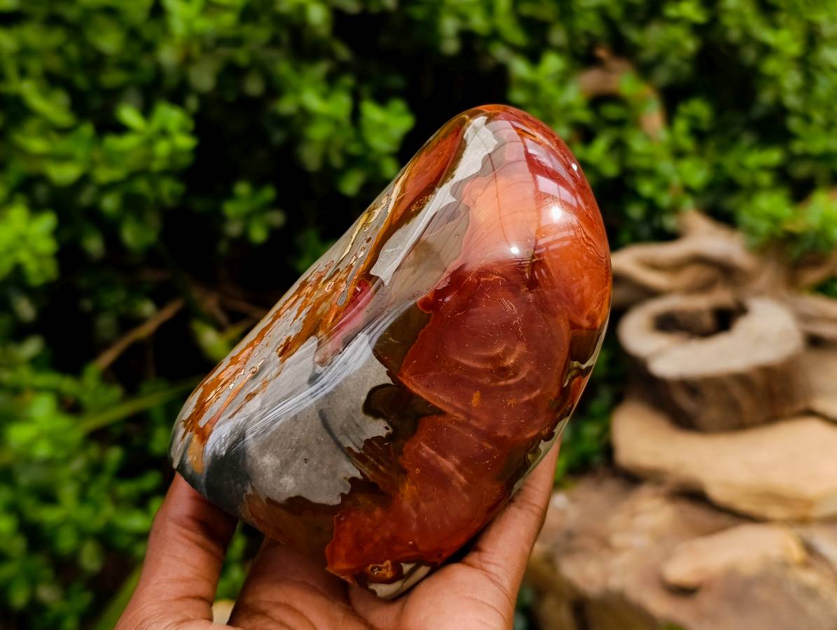 Polished Polychrome Jasper Standing Free Forms x 2 From NW Coast, Madagascar - Toprock Gemstones and Minerals 