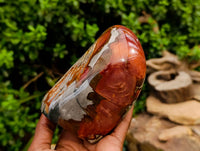 Polished Polychrome Jasper Standing Free Forms x 2 From NW Coast, Madagascar