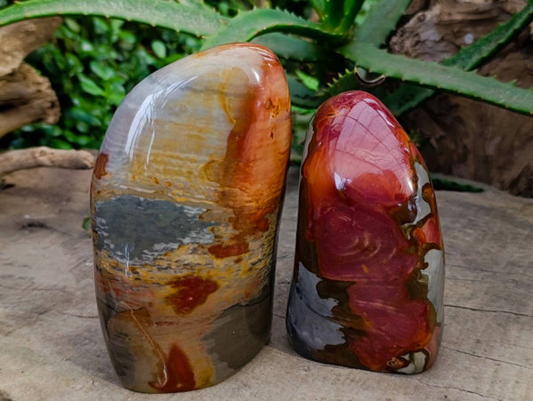 Polished Polychrome Jasper Standing Free Forms x 2 From NW Coast, Madagascar