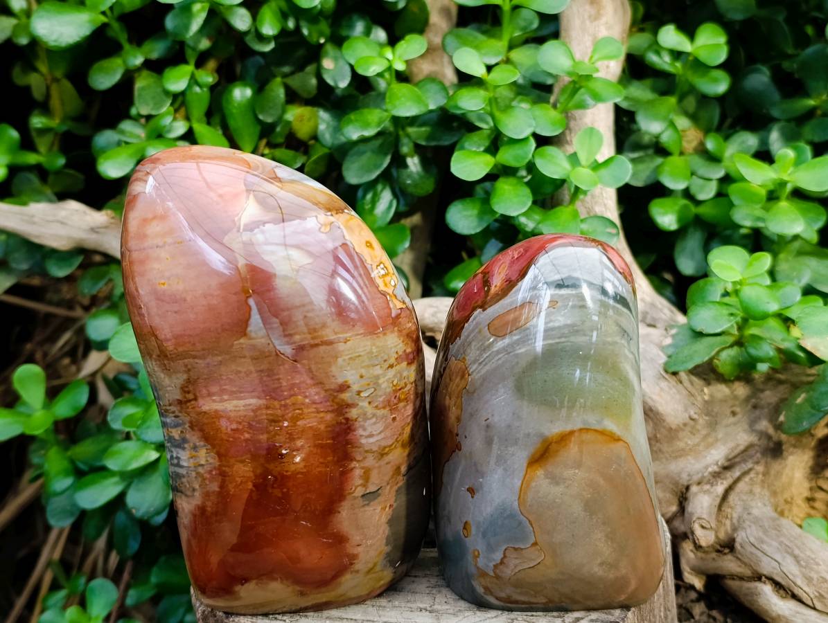 Polished Polychrome Jasper Standing Free Forms x 2 From NW Coast, Madagascar - Toprock Gemstones and Minerals 