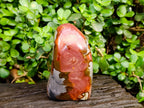 Polished Polychrome Jasper Standing Free Forms x 2 From NW Coast, Madagascar - Toprock Gemstones and Minerals 